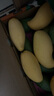京鮮生 云南鷹嘴芒凈重8.5斤裝 單果200g+ 生鮮水果源頭直發(fā) 曬單實(shí)拍圖