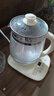 九陽（Joyoung）0膠水養(yǎng)生壺 1.5L煮茶器 玻璃花茶壺 316不銹鋼燒水壺電熱水壺 WY301 曬單實拍圖