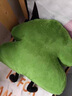 木丁丁小樹(shù)抱枕沙發(fā)靠枕靠墊毛絨玩具圣誕節禮物送男女朋友生日禮物 抱枕【綠色小樹(shù)43CM】 曬單實(shí)拍圖