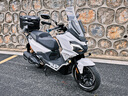 巴祖卡巴祖卡KU1后減震適用本田佛沙350光陽賽艇S250 S400 SR4MAX后避震 BZUK-KU1（金色）一對 適用三陽九妹Z300/F300 曬單實拍圖