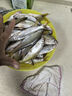 劉志強餌料全能綜合餌5311鯽鯉草鳊翹通用餌料新手餌料冬季釣魚(yú)餌料 兩包共1000g 曬單實(shí)拍圖