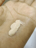 肌膚之鑰（Cle de Peau）CPB明星長管隔離37ml持妝妝前乳提亮膚色防曬自然七夕禮物女 曬單實拍圖