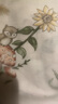 歐孕兒童短袖純棉t恤男女童2025新款上衣寶寶夏季薄薄a類打底衫 柴犬兜兜【7A抗菌純棉】 110 cm 曬單實(shí)拍圖