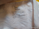 貓人內(nèi)褲女士純棉中腰無痕透氣10A全棉抗菌襠女生三角短褲不夾臀 曬單實拍圖