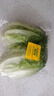 綠行者（GREER）西班牙生菜500g 生鮮蔬菜1斤裝新鮮沙拉菜食材健康輕食 西班牙生菜1斤 曬單實(shí)拍圖