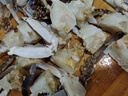 舟山梭子蟹鮮活特大野生大螃蟹新鮮冷凍海鮮水產(chǎn)海蟹飛蟹白蟹順豐 5-7兩/只【4斤 個(gè)大肉多】 曬單實(shí)拍圖