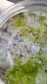 瑾倫魚(yú)缸底砂造景底沙水族箱裝飾石頭白沙水晶砂白石子五彩石雨花石 天然彩色石1斤 曬單實(shí)拍圖