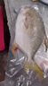 翔泰冷凍海南金鯧魚700g（2條） 曬單實(shí)拍圖
