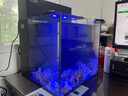 方小章背濾海水缸全套小丑魚珊瑚缸新手中小型客廳桌面方缸超白玻璃魚缸 HB400-標配+擋板 曬單實拍圖