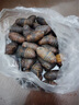 御農(nóng)優(yōu)品柞蠶蛹鮮活東北特產(chǎn)新鮮繭蛹特級(jí)大黃二黃蠶蛹黑蟬蛹活A(yù)級(jí)精品蛹 大二黃蠶蛹1斤(約45只4-5cm/只) 曬單實(shí)拍圖