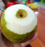 式果禮上海莊行蜜梨【順豐到家】奉賢特產(chǎn)翠冠梨焦溪蜜梨子新鮮水果禮盒 9斤 精選中果【單果5-6兩】 曬單實拍圖