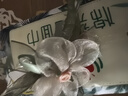 加恩倍氣質(zhì)花朵一字抓夾女2025新款高級(jí)感發(fā)夾后腦勺超仙鴨嘴夾頭飾 米色花朵鴨嘴夾【1個(gè)】 曬單實(shí)拍圖