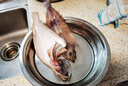 新鮮冷凍小偏口魚小扁口魚油煎燒烤青島海鮮水產(chǎn)約4-8條/斤3斤裝 曬單實拍圖