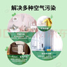 綠之源 1600g母嬰房專用活性納米礦晶炭包 孕婦急入住活性炭家具裝修 曬單實(shí)拍圖