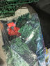 叒好小兵人玩具士兵軍事模型套裝沙盤場(chǎng)景打仗塑料小人男孩玩具禮物 五色中兵團(tuán)（400人+140配件） 曬單實(shí)拍圖