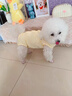 MIKI PAD狗狗衣服春夏季薄款包護肚衣絕育服術(shù)后防舔貓咪衣服透氣防掉毛 背心護肚衣-黃色#可做絕育服 M 胸圍40背長30（建議7-9斤） 曬單實拍圖