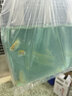 【魚(yú)苗批發(fā) 】正宗金草魚(yú)苗 養殖觀(guān)賞淡水鮮活活魚(yú)可食用優(yōu)質(zhì)特大10公分 15公分 10-15cm金草魚(yú)10條 曬單實(shí)拍圖