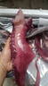 安峰山特大魷魚(yú)須新鮮速凍脆口魷魚(yú)須非章魚(yú)足超大冷凍生鮮水產(chǎn)商用批發(fā) 5斤(凈重)  曬單實(shí)拍圖