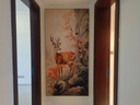 出寫(xiě)輕奢美式小鹿油畫(huà)高級感入戶(hù)玄關(guān)裝飾畫(huà)正對門(mén)過(guò)道走廊背景墻掛畫(huà) 逐鹿生財-A 60*120cm 【油畫(huà)布紋+鋁合金外框】 曬單實(shí)拍圖