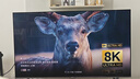 小米（MI）電視S65 Mini LED 2025 65英寸 澎湃OS 低反屏 532分區(qū)1700nits L65MB-S一級(jí)能效國(guó)家補(bǔ)貼以舊換新 曬單實(shí)拍圖