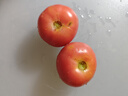 西紅柿水果沙瓤番茄多汁新鮮蔬菜生鮮減肥減脂可生吃 西紅柿 1斤 試吃款 曬單實(shí)拍圖