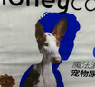 HONEYCARE好命家 好命天生寵物尿墊狗狗尿片魔法漏斗除味系列尿布60*45cm 曬單實(shí)拍圖