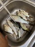 中國(guó)十大魚竿品牌戶外5.4米釣魚竿手竿7.2米大物桿大物桿鯽魚竿 3.6m 5H28調(diào)+釣魚禮包 5H-8H 19調(diào)-28調(diào) 曬單實(shí)拍圖