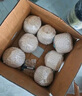佳農(nóng) 泰國進口椰青9粒裝 單果900g+ 贈開椰器吸管 生鮮水果 源頭直發(fā) 曬單實拍圖