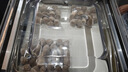 真空包裝機大型工業(yè)商用包裝設備干濕油粉自動(dòng)大米打包機包裝設備抽真空封口一體機食品熟食抽真空保鮮科諾迪 KND-380升級款 銅芯單泵+大變壓器 曬單實(shí)拍圖