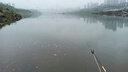 劉志強(qiáng)釣魚(yú)專用拉絲粉拉大球野釣鯽魚(yú)餌料強(qiáng)力粘粉鯉魚(yú)中長(zhǎng)絲谷元粉拉餌 【260g】野釣拉絲粉*1瓶 曬單實(shí)拍圖