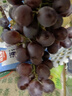 【農(nóng)戶直通車】正宗天津茶淀玫瑰香葡萄750g 曬單實拍圖