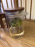 bylure品牌飄逸杯泡茶壺茶水分離家用泡茶神器磁吸玻璃過(guò)濾家用沖茶壺 小號(hào)-無(wú)桿磁吸飄逸杯520ml 曬單實(shí)拍圖