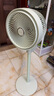 amadana日本空氣循環(huán)扇非靜音電風(fēng)扇家用落地扇立式電扇直流變頻風(fēng)扇渦輪對(duì)流遙控大風(fēng)量換氣扇 C5蘋果綠（負(fù)離子清新）帶香薰盒 曬單實(shí)拍圖