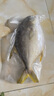 翔泰 海南深海金鯧魚2.4斤/3-4條凈重 BAP認(rèn)證 生鮮魚類 海鮮水產(chǎn) 曬單實(shí)拍圖