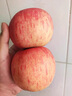 工廠新鮮水果山東煙臺紅富士脆甜多汁當(dāng)季現(xiàn)摘 煙臺紅富士凈重1.5斤 （單果80mm+） 曬單實拍圖