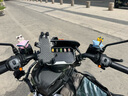 十久可愛(ài)小豬風(fēng)車電動(dòng)摩托車桌面擺件裝飾配件公仔兒童生日七夕禮物 萌貓【綁帶款】 曬單實(shí)拍圖