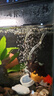 松寶（sobo）魚缸增氧泵養(yǎng)魚氧氣泵小型家用充氧泵水族箱打氧機(jī)增氧泵 雙孔3W 曬單實(shí)拍圖