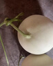 柚公主玉菇甜瓜【JD速運】新鮮水果冰淇淋甜瓜白雪蜜奶香蜜孕婦水果 精選果6枚普通裝（單果3斤左右） 曬單實拍圖