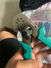 綠林（GREENER）接線端子壓線鉗線鼻子壓接鉗電工專用管型壓線神器壓線端子鉗 端子[1200PCS]+鍍鉻鉗HSC8 6-6A 曬單實拍圖