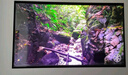 TCL電視 55Q9L Pro 55英寸 QD-Mini LED 蝶翼星曜屏 萬(wàn)象分區 絢彩XDR3000nits 超薄 國家補貼20% Q9K 曬單實(shí)拍圖