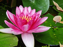 百雀羚（PECHOIN）水清漾柔膚精華水220ML補(bǔ)水保濕水潤(rùn)舒緩品質(zhì)國(guó)貨送女友 曬單實(shí)拍圖