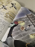 【童趣旗艦店】故宮御貓夜游記全20冊(cè)精裝禮盒裝第1234輯 故宮里的大怪獸姊妹篇打開(kāi)故宮怪獸談常怡著兒童國(guó)家人文歷史科普百科書(shū)籍小學(xué)生課外閱讀傳統(tǒng)文化繪本圖畫(huà)故事書(shū)漫畫(huà)寫(xiě)給兒童的中國(guó)歷史上新了故宮 【 曬單實(shí)拍圖