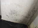 老管家墻體除霉劑500g墻面衣柜瓷磚去霉斑霉菌清潔劑噴霧 曬單實拍圖