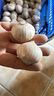 熱寶果蔬（REBAO FRUITS& VEGETABLES）農(nóng)家紫皮獨(dú)頭蒜當(dāng)季新蒜老品種紅皮蒜蔬菜 產(chǎn)地直發(fā)2/3/5斤 5斤家庭裝 大果【3.0-3.4cm】 曬單實(shí)拍圖
