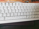邁從（MCHOSE）Ace 68/60Pro【國(guó)家補(bǔ)貼】磁軸鍵盤 RT電競(jìng)游戲客制化機(jī)械有線連接全鍵熱插拔雙驅(qū)動(dòng)無(wú)畏契約 Ace 68 電競(jìng)版 白等高線 冰犀磁軸 曬單實(shí)拍圖