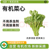沈佳農(nóng)有機(jī)青秀油菜小油菜上海青當(dāng)季新鮮現(xiàn)摘有機(jī)無農(nóng)殘寶寶輔食300g 有機(jī)青秀油菜300g 曬單實(shí)拍圖