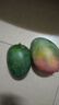 【新鮮上市】正宗攀枝花凱特芒果新鮮水果 帶箱2斤200g+ 曬單實(shí)拍圖