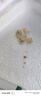 北蔬 水果黃瓜種子苗青瓜夏盆栽菜籽 卓脆濰胖二號水果黃瓜種子100粒 曬單實(shí)拍圖