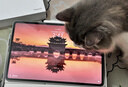 榮耀平板GT2 Pro12.5英寸平板電腦 護眼電競屏 滿血旗艦芯 超大電池 12GB+256GB 冰晶白 【國家補貼】 曬單實拍圖