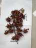 廣西八角大料500g特級(jí)大紅大茴香花椒香葉桂皮香料調(diào)料優(yōu)選 180g[3罐]八角大料(60g*3) 曬單實(shí)拍圖
